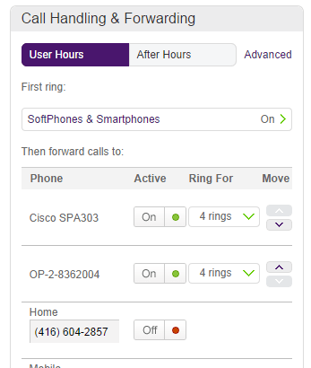 Call Forwarding Call Handling And Forwarding Under User Hours