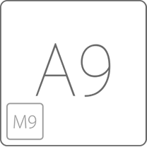 A9 m9 chip large simp
