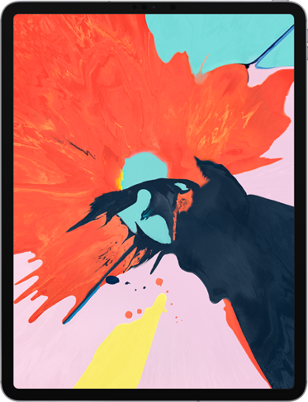 iPad Pro (12,9 po) (3rd Generation)